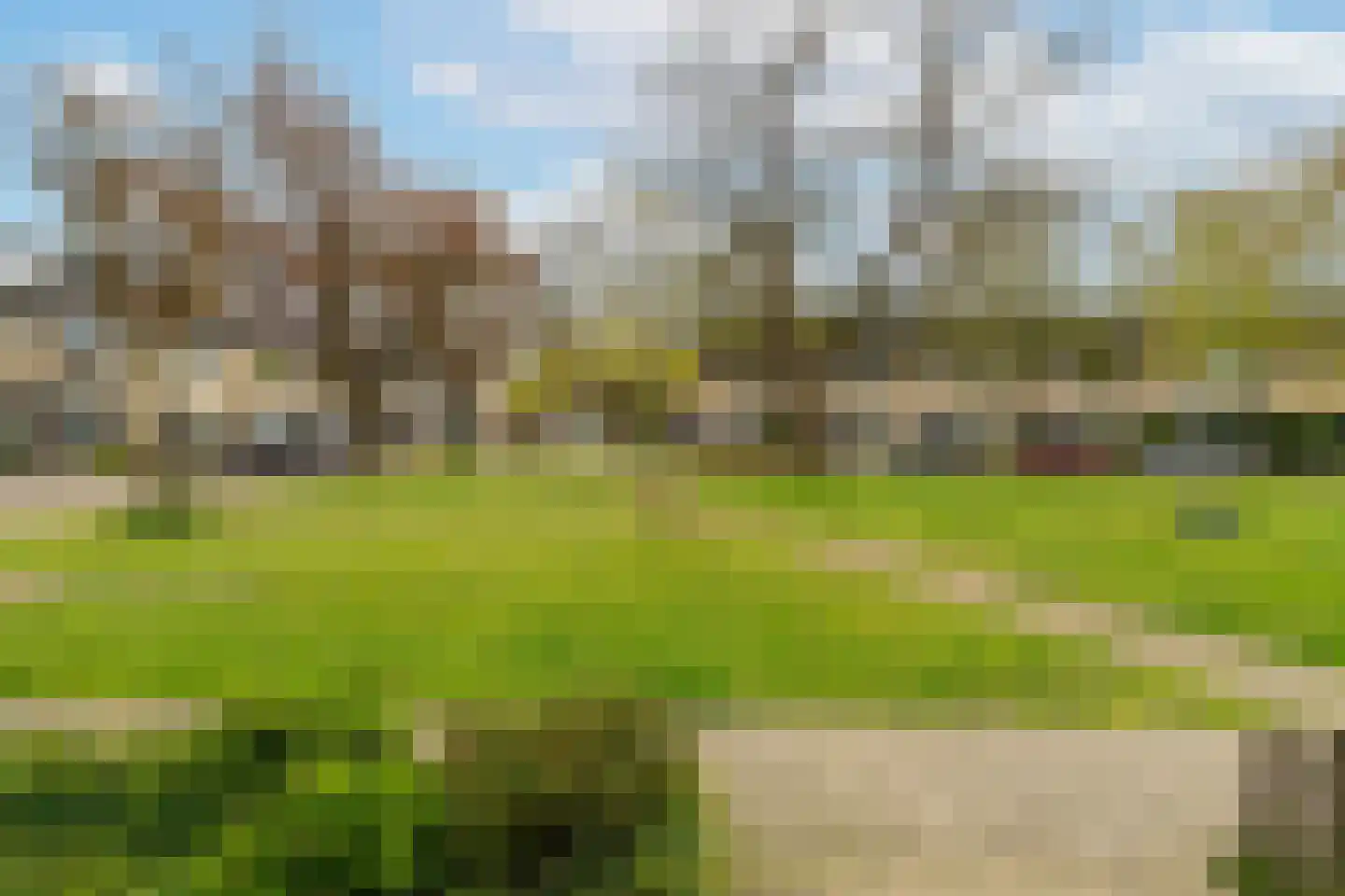 Lavendelhof 87 Oosterhout thumbnail 4