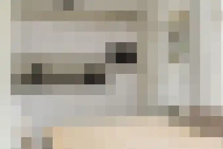 Lavendelhof 88 Zundert thumbnail 13