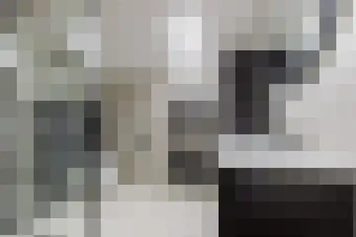 Lavendelhof 88 Zundert thumbnail 4