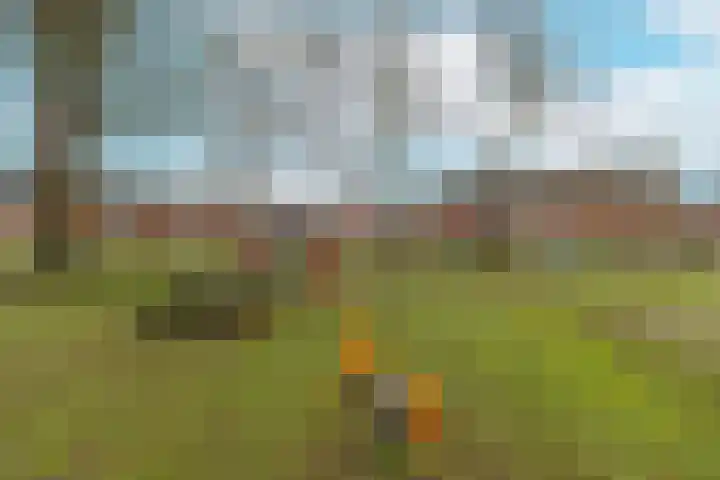 Lavendelhof 88 Zundert thumbnail 6