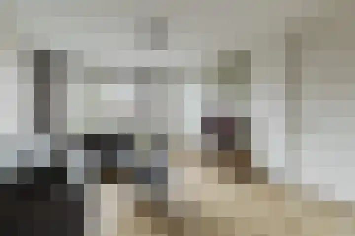 Lavendelhof 88 Zundert thumbnail 8