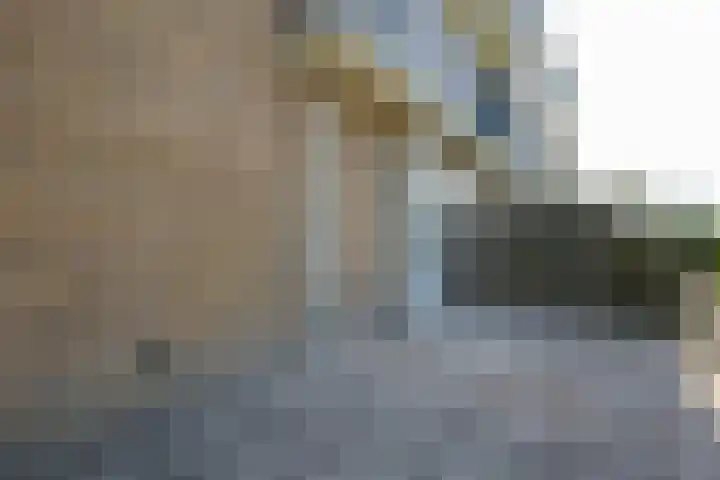 Lavendelhof 9 Noordwijk thumbnail 26