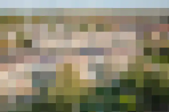 Lavendelhof 9 Noordwijk thumbnail 29