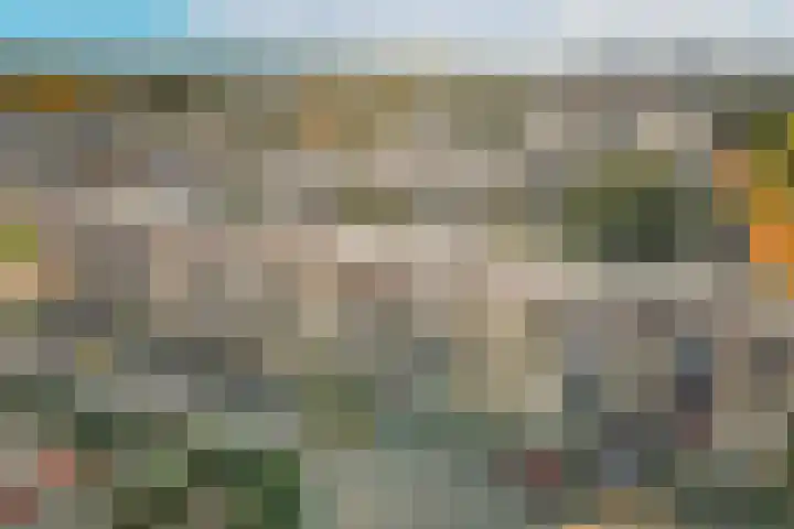 Lavendelhof 9 Noordwijk thumbnail 30