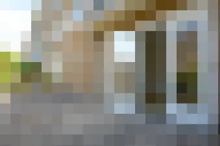 Lavendelhof 9 Noordwijk thumbnail 4
