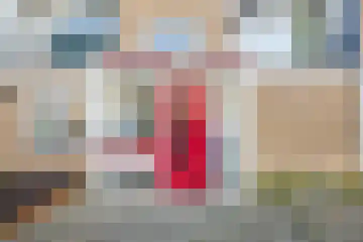 Lavendelhof 9 Noordwijk thumbnail 7