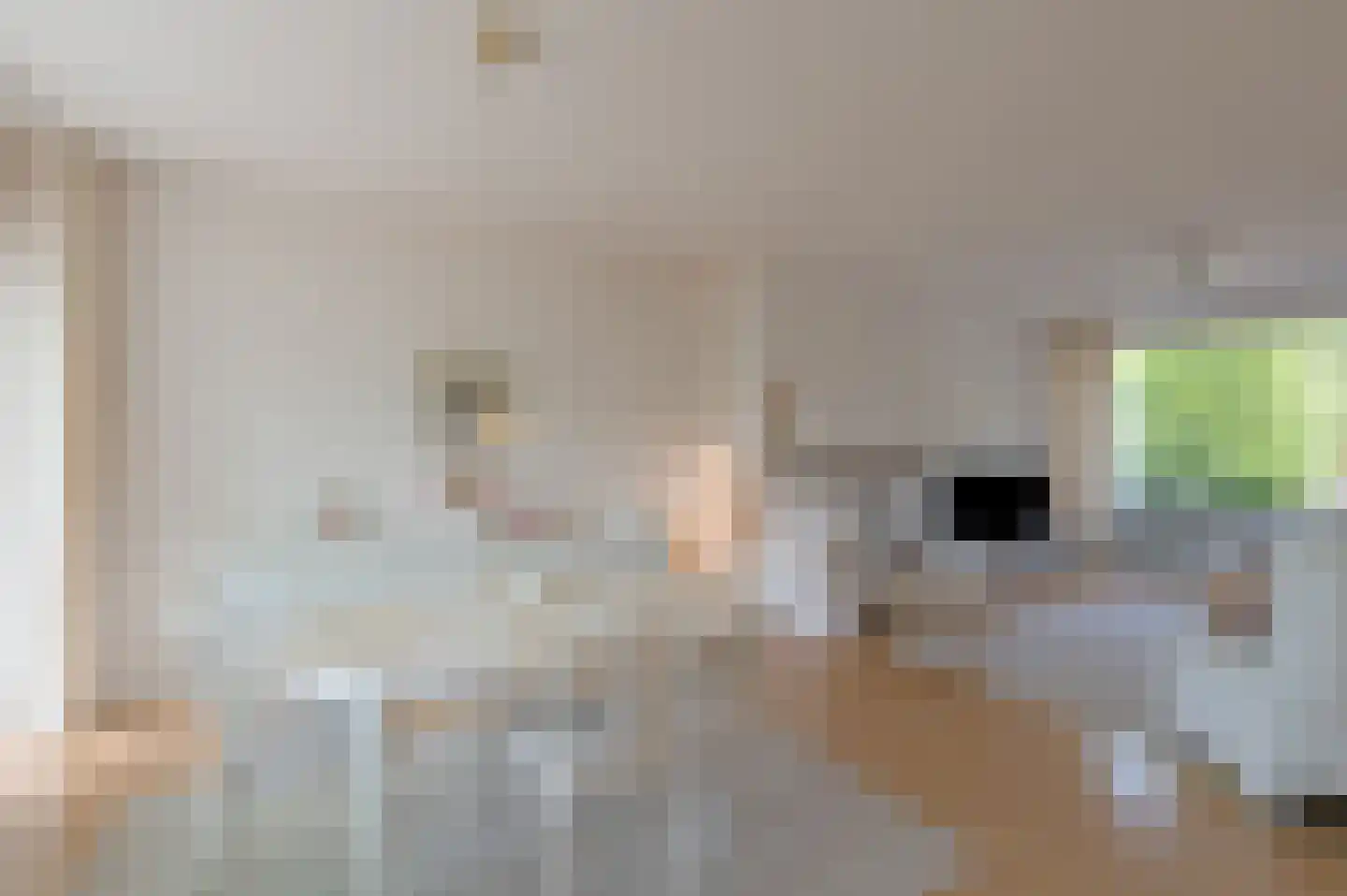 Lavendellaan 13 Waalre thumbnail 14