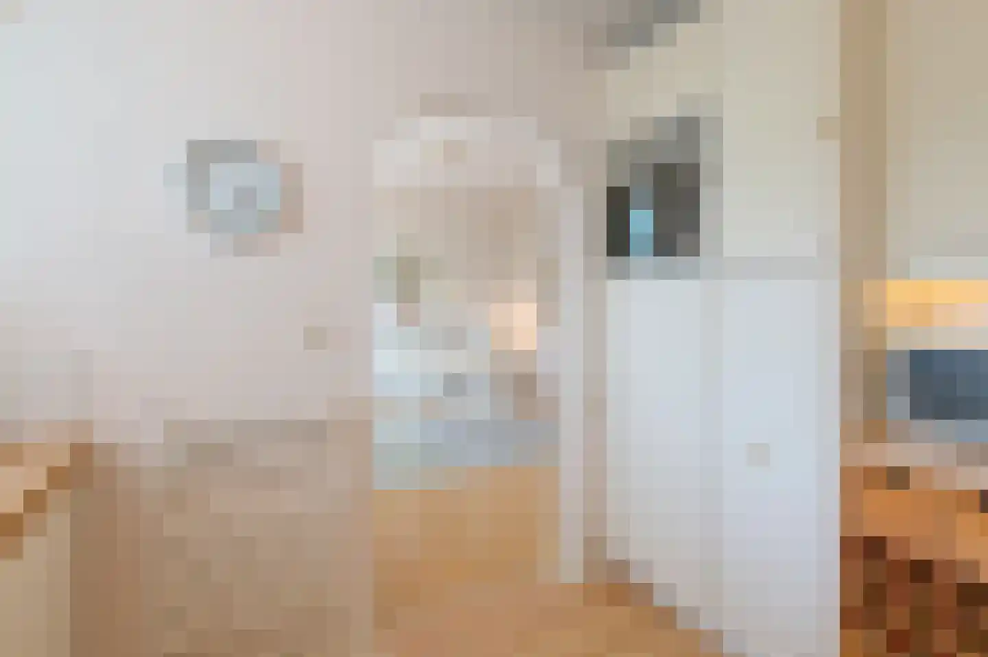 Lavendellaan 13 Waalre thumbnail 18