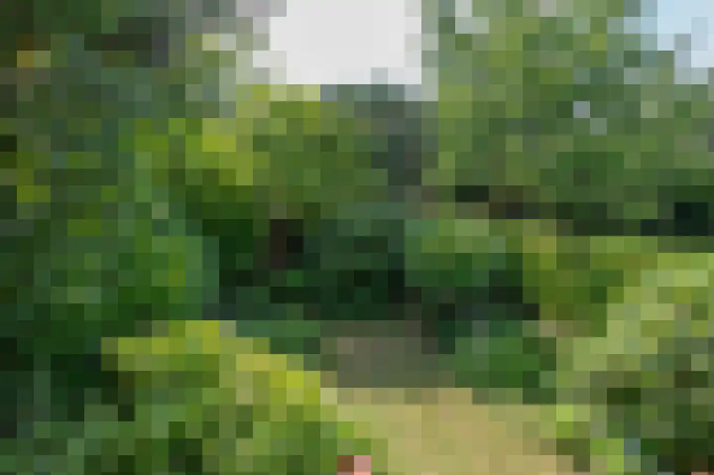 Lavendellaan 13 Waalre thumbnail 31