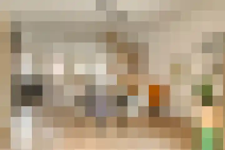Lavendellaan 130 Eindhoven thumbnail 13