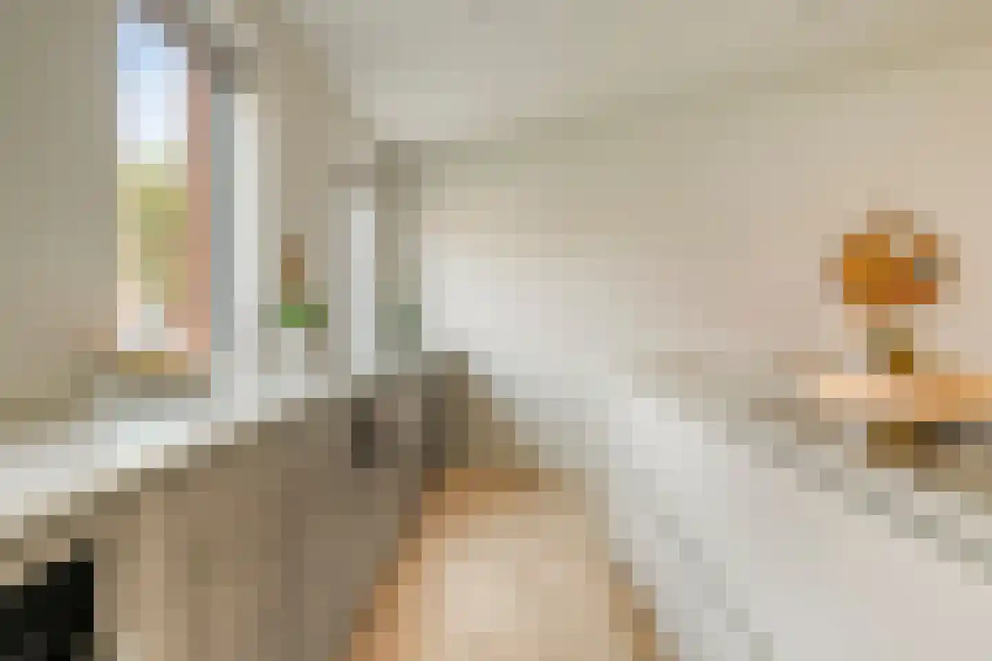 Lavendellaan 130 Eindhoven thumbnail 15