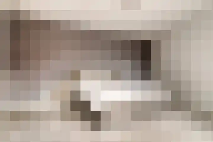 Lavendellaan 130 Eindhoven thumbnail 21