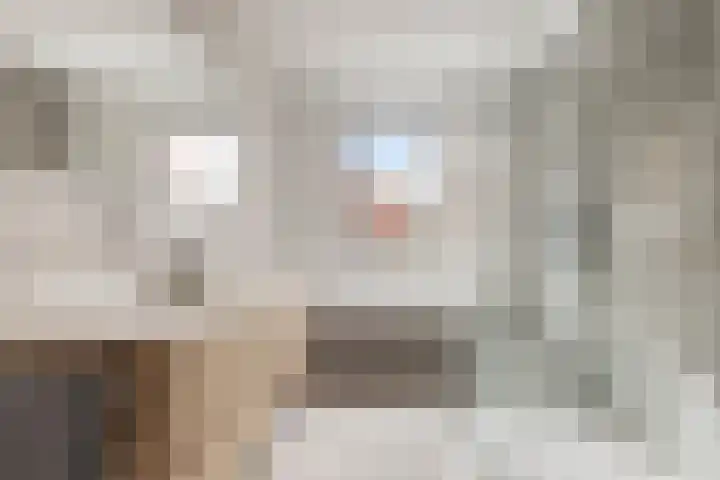 Lavendellaan 130 Eindhoven thumbnail 24