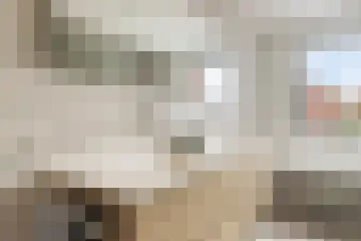 Lavendellaan 130 Eindhoven thumbnail 25