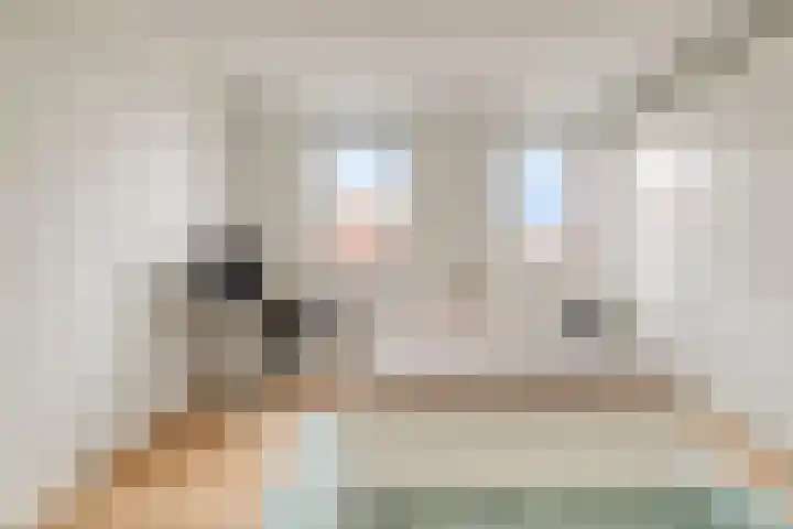 Lavendellaan 130 Eindhoven thumbnail 32
