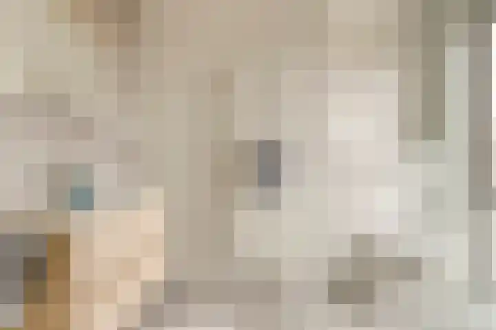 Lavendellaan 130 Eindhoven thumbnail 33