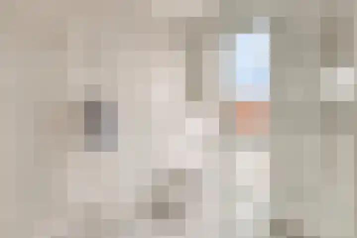 Lavendellaan 130 Eindhoven thumbnail 34