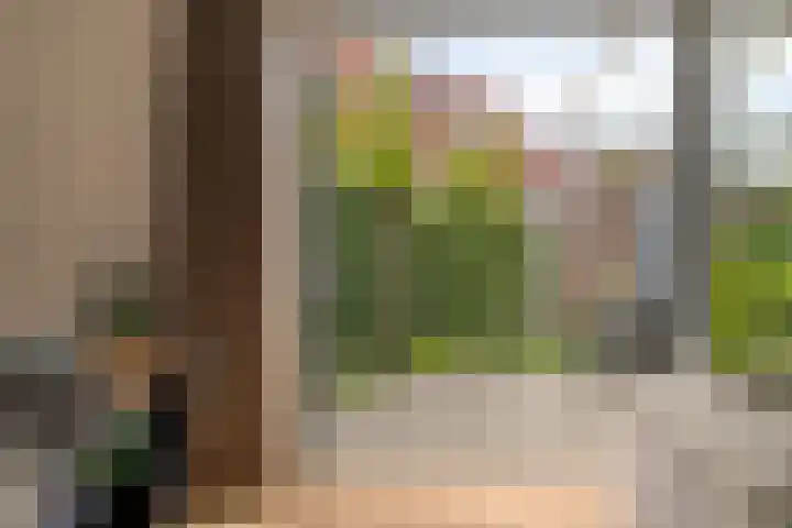 Lavendellaan 130 Eindhoven thumbnail 37