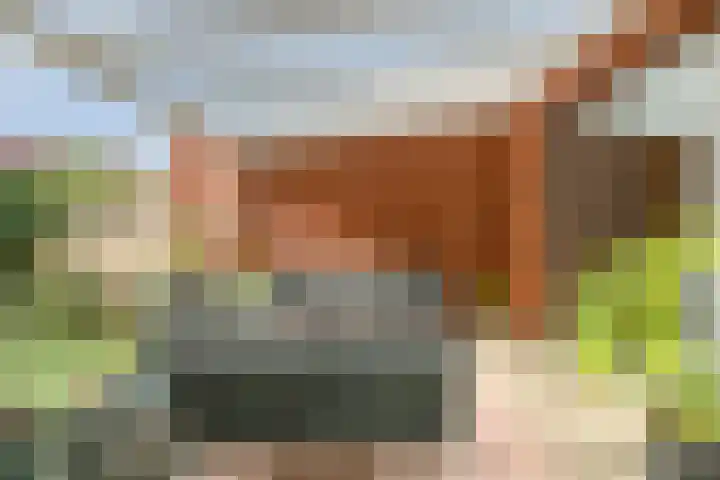 Lavendellaan 130 Eindhoven thumbnail 39