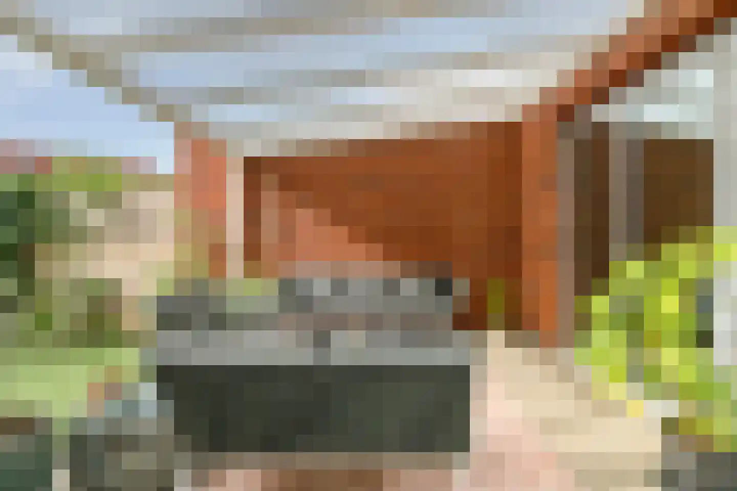Lavendellaan 130 Eindhoven thumbnail 39