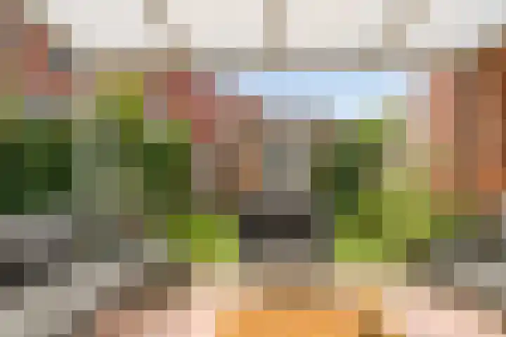 Lavendellaan 130 Eindhoven thumbnail 40