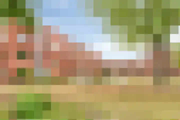 Lavendellaan 130 Eindhoven thumbnail 44