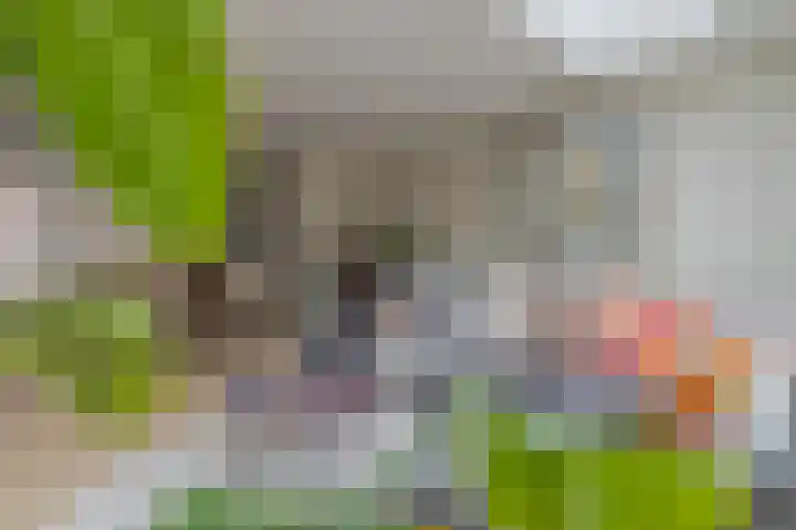 Lavendellaan 144 Eindhoven thumbnail 10