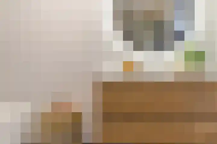 Lavendellaan 144 Eindhoven thumbnail 27