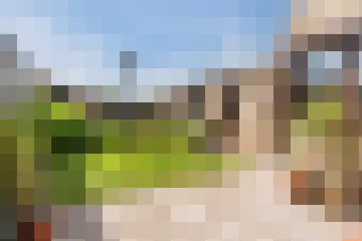 Lavendellaan 15 Valkenswaard thumbnail 34