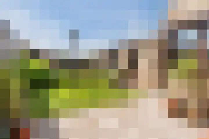 Lavendellaan 15 Valkenswaard thumbnail 5