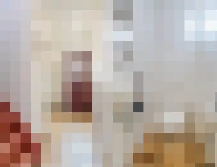 Lavendellaan 15 Valkenswaard thumbnail 8