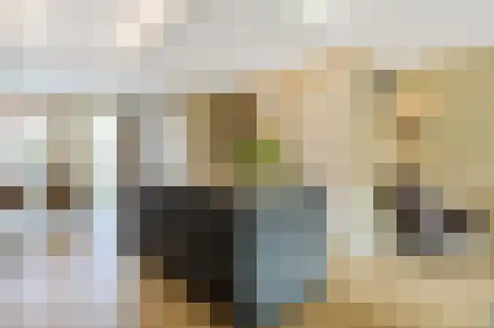 Lavendellaan 152 Eindhoven thumbnail 16
