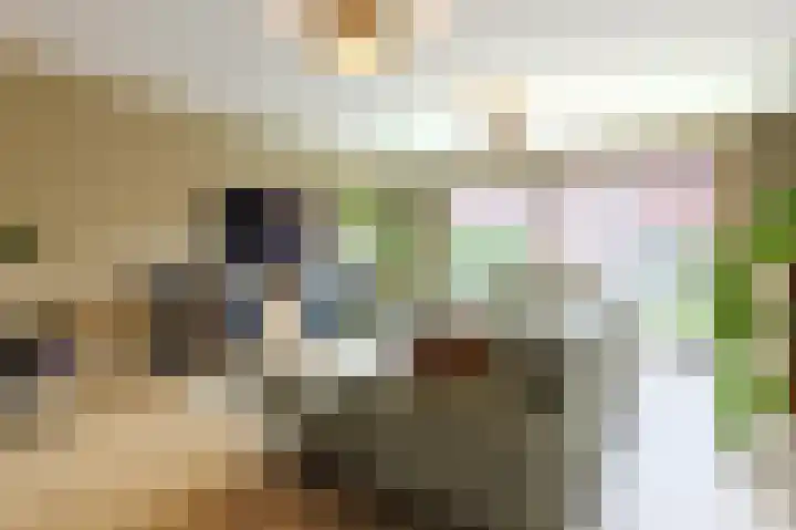 Lavendellaan 152 Eindhoven thumbnail 20