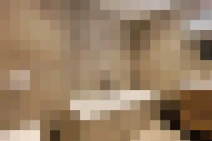 Lavendellaan 152 Eindhoven thumbnail 42