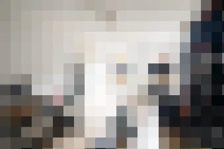 Lavendellaan 22 Eindhoven thumbnail 11