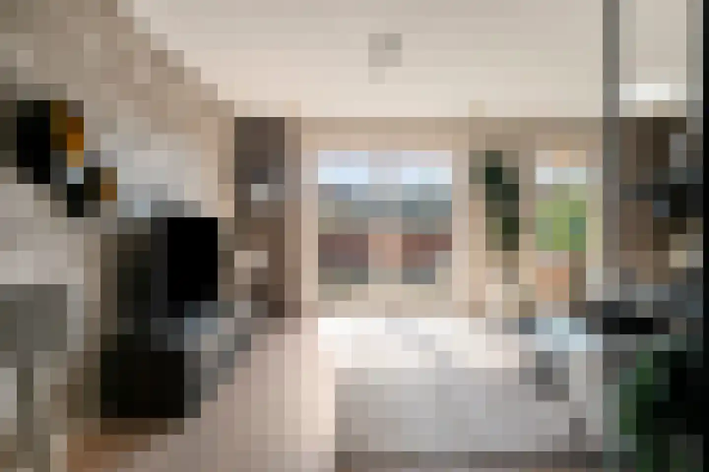 Lavendellaan 22 Eindhoven thumbnail 16