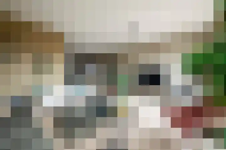 Lavendellaan 22 Eindhoven thumbnail 16
