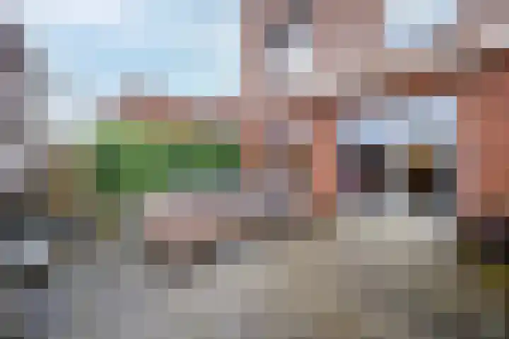 Lavendellaan 22 Eindhoven thumbnail 17