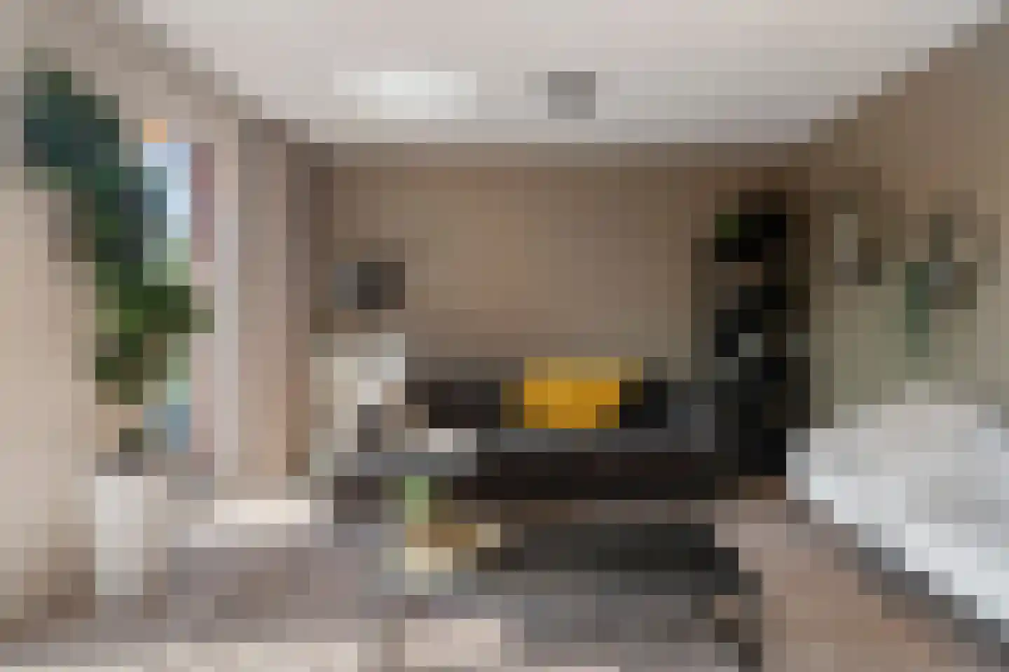 Lavendellaan 22 Eindhoven thumbnail 17