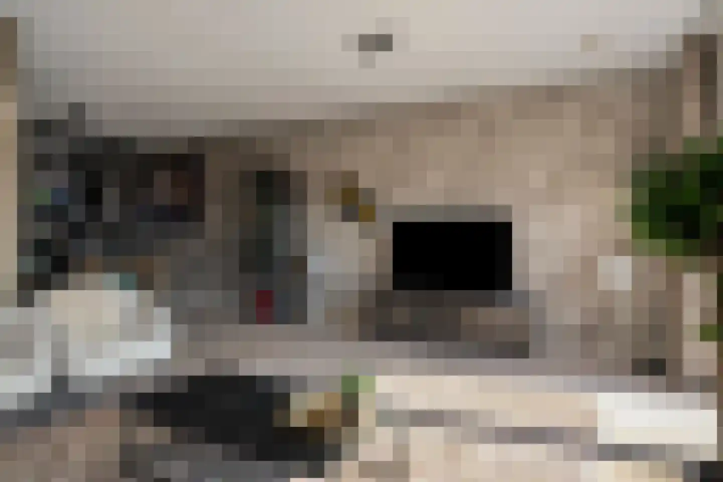 Lavendellaan 22 Eindhoven thumbnail 18
