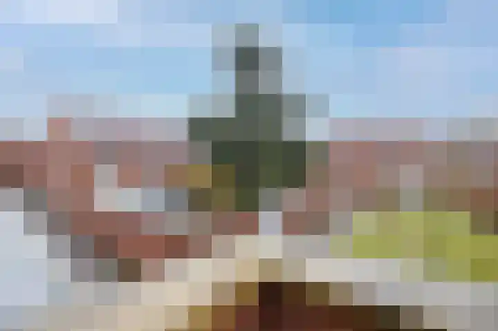 Lavendellaan 22 Eindhoven thumbnail 18