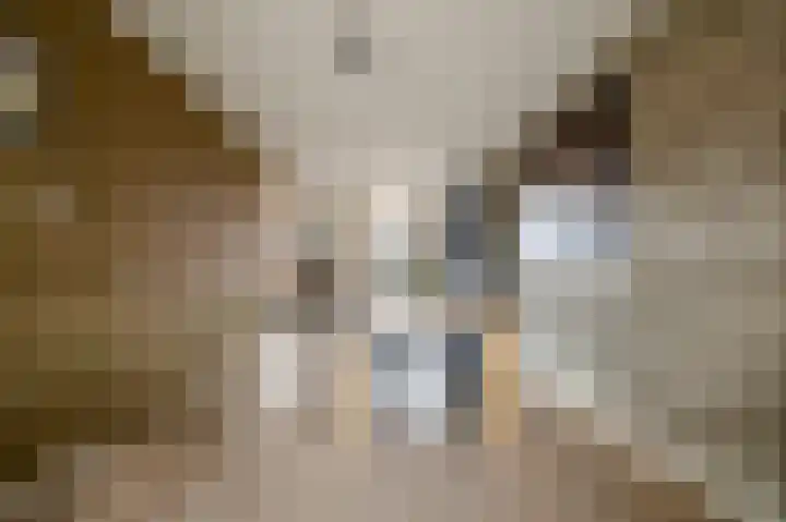 Lavendellaan 22 Eindhoven thumbnail 19