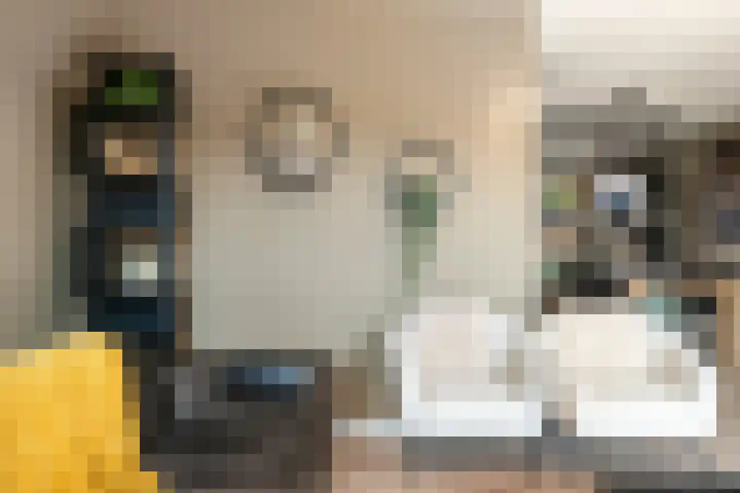 Lavendellaan 22 Eindhoven thumbnail 19