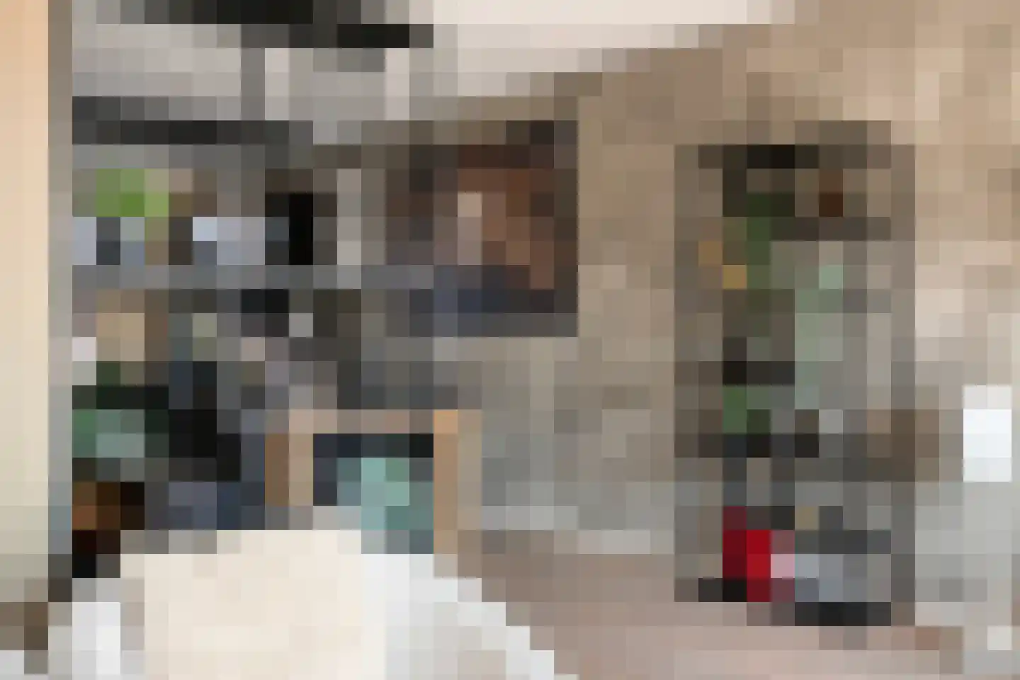 Lavendellaan 22 Eindhoven thumbnail 20