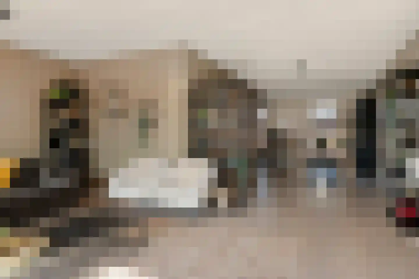 Lavendellaan 22 Eindhoven thumbnail 21