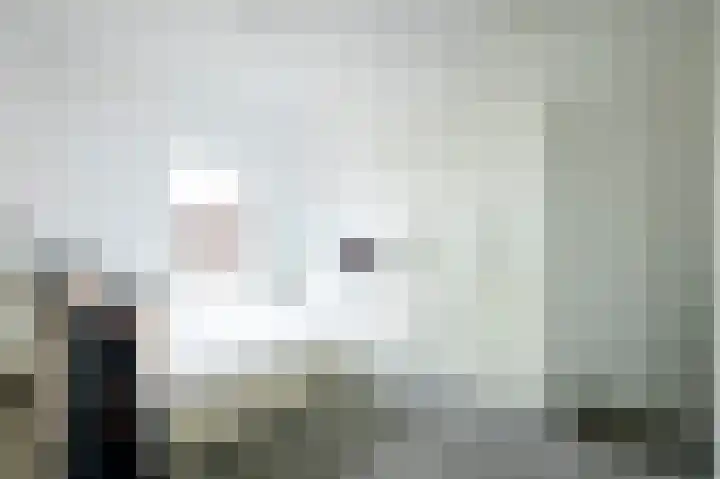 Lavendellaan 22 Eindhoven thumbnail 26