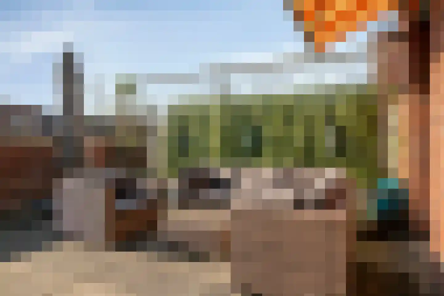 Lavendellaan 22 Eindhoven thumbnail 29