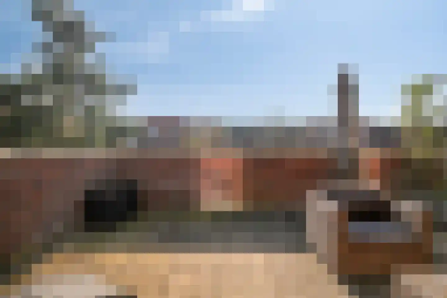 Lavendellaan 22 Eindhoven thumbnail 30