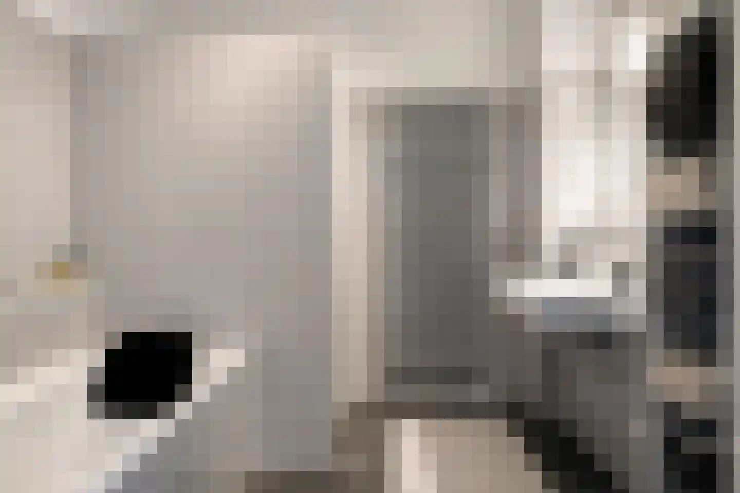 Lavendellaan 22 Eindhoven thumbnail 37