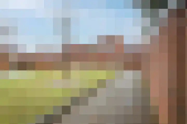 Lavendellaan 22 Eindhoven thumbnail 39